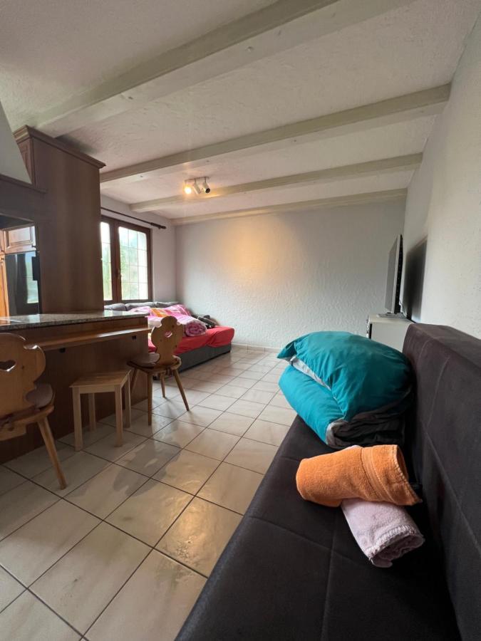 Tiny Apartment With Amazing View, Garden & Terras Schattdorf Zewnętrze zdjęcie